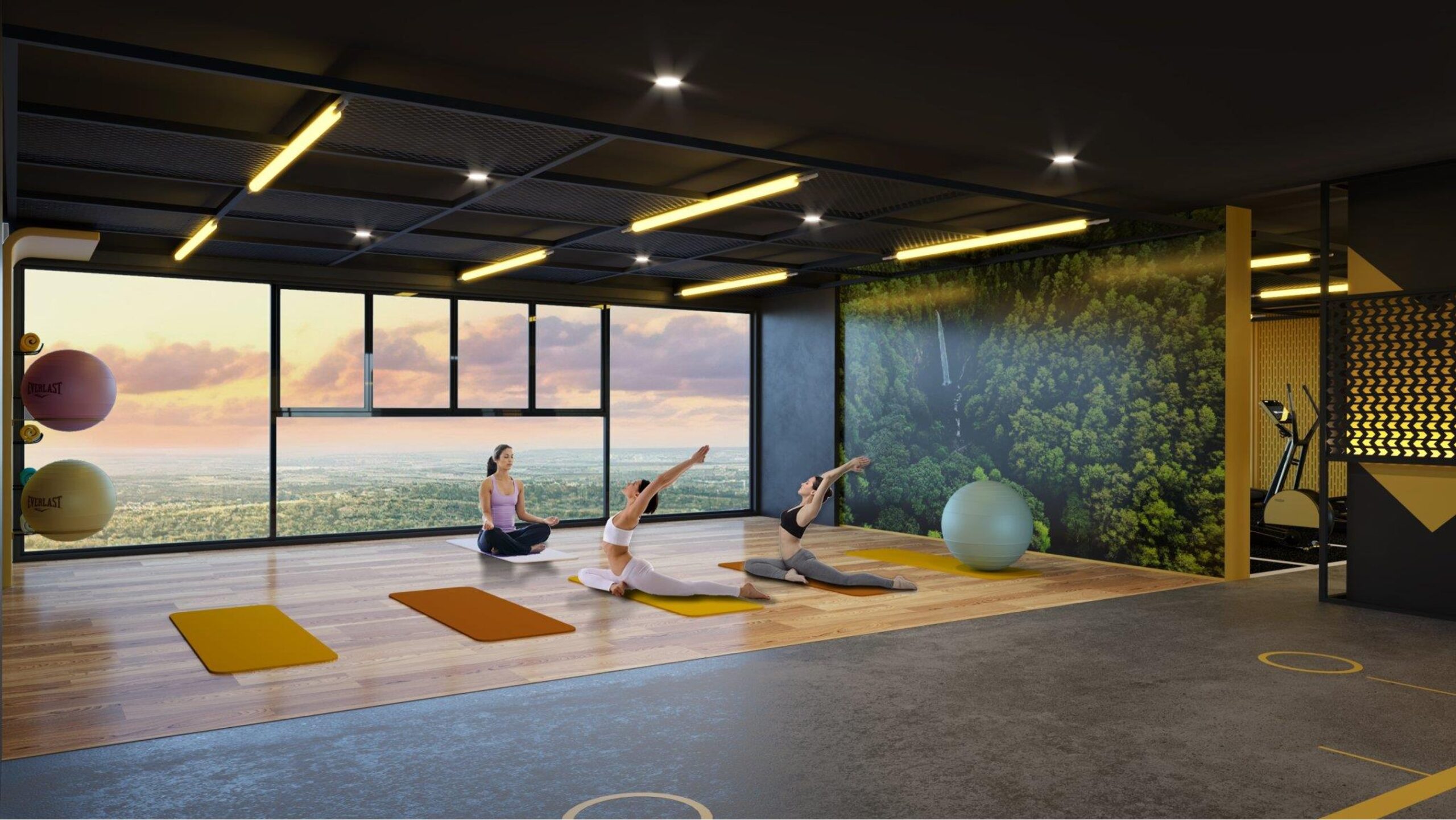 Gym – Yoga – Taichi