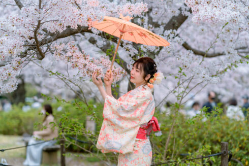Cherry Blossom Festival