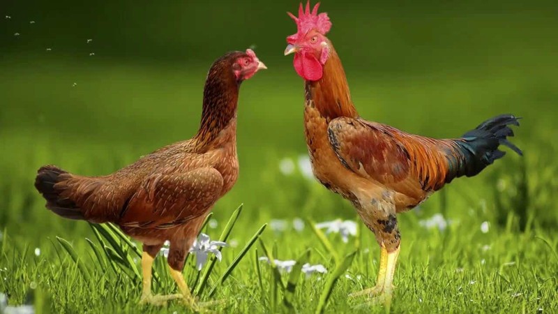 du lich thanh thuy du lich thanh thuy