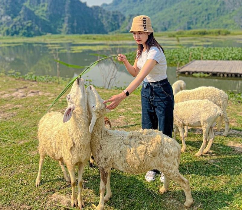 du lich trang an ninh binh