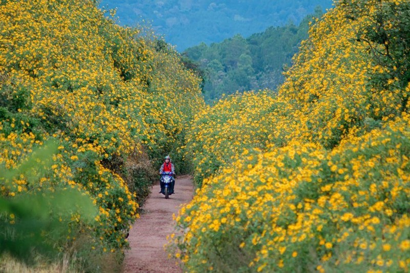suoi khoang nong binh chau