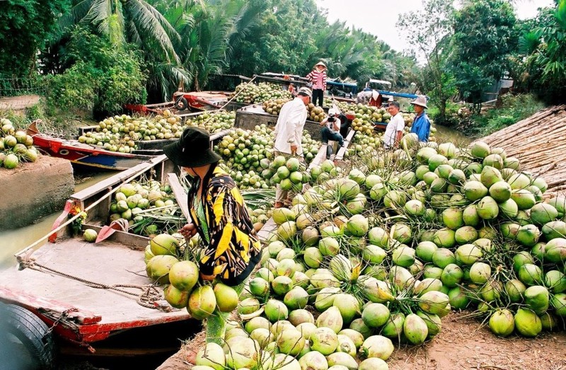 suoi khoang nong binh chau