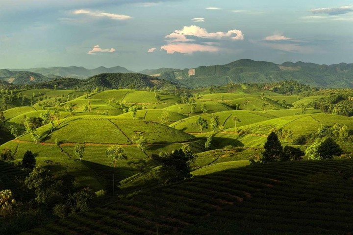 den lang suong den lang suong