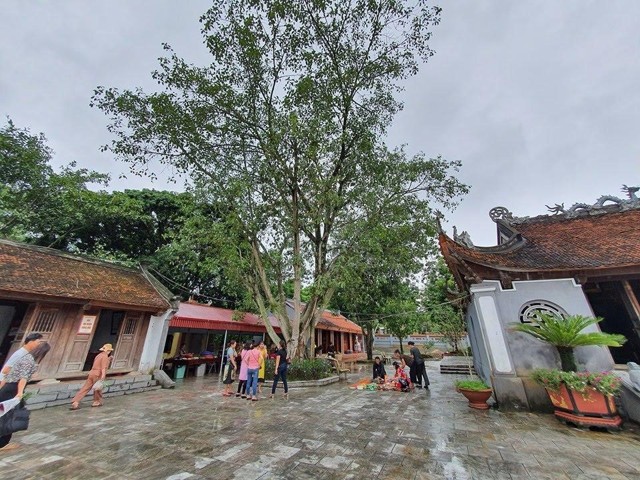 den lang suong den lang suong