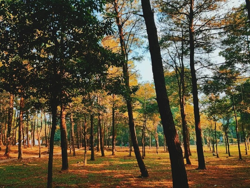 tour du lich 1 ngay gan ha noi