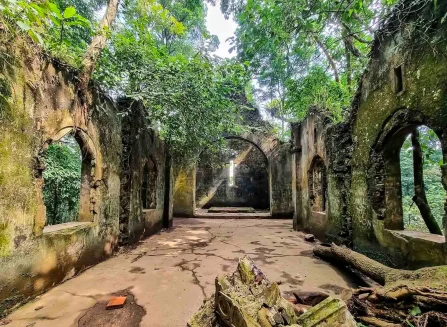 vuon quoc gia ba vi