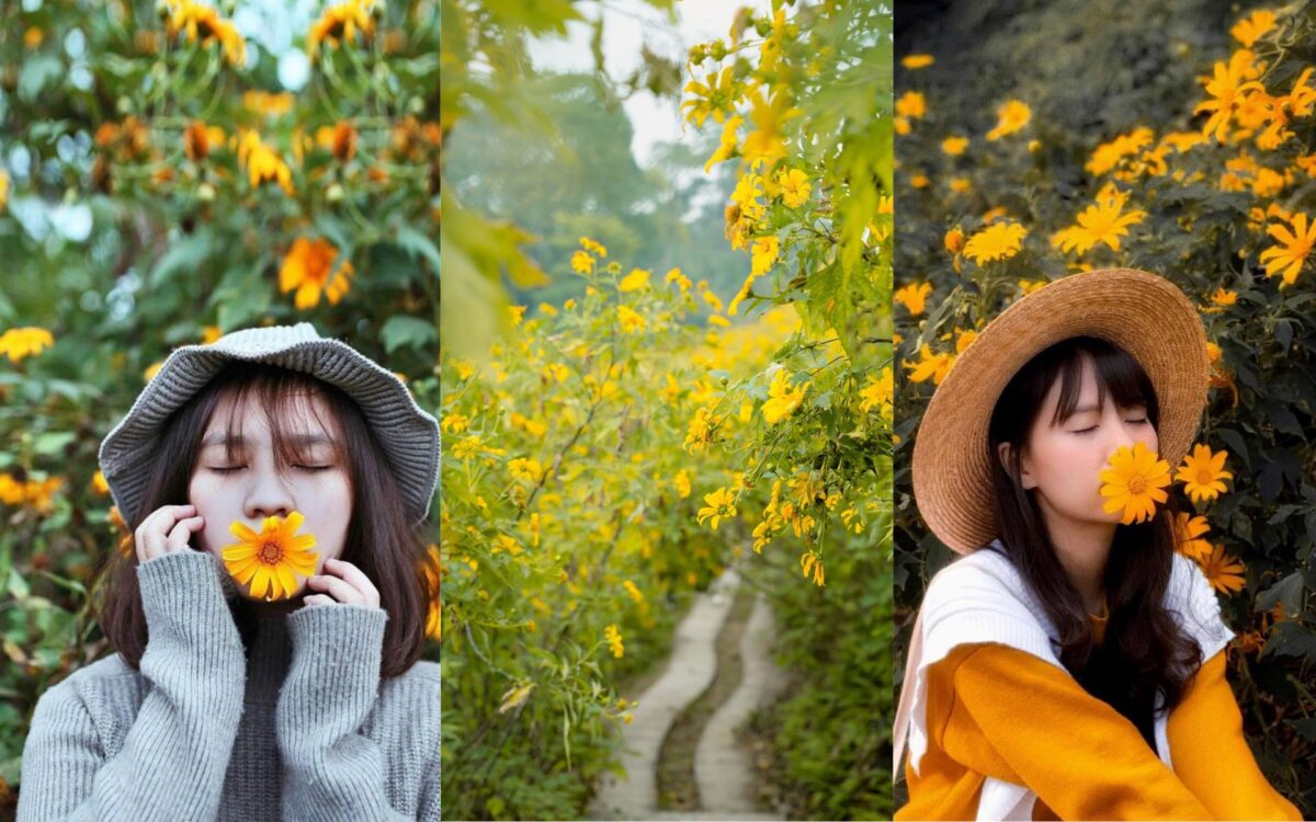 Khám phá Vườn quốc gia Ba Vì: Ở đâu? Có gì chơi? Giá vé