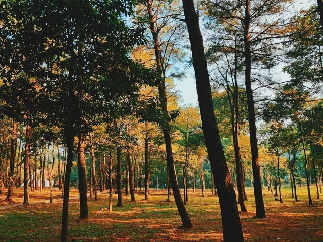 du lịch ba vi 2 ngay 1 dem