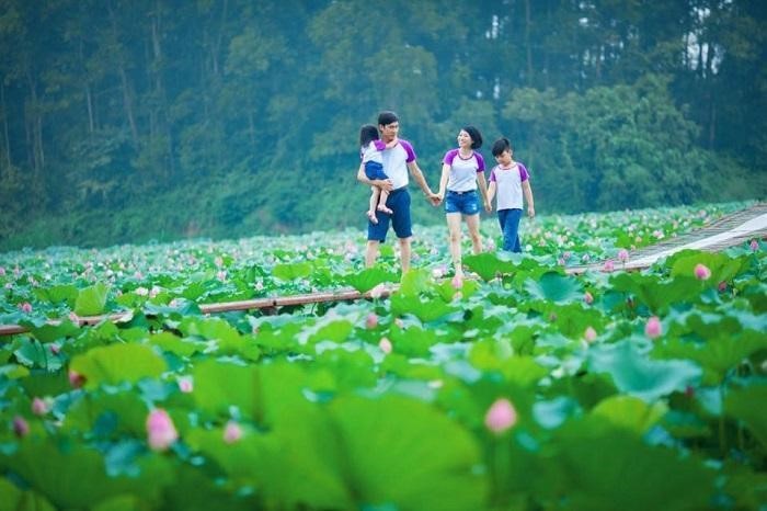 du lich ba vi 1 ngay nen di dau du lich ba vi 1 ngay nen di dau