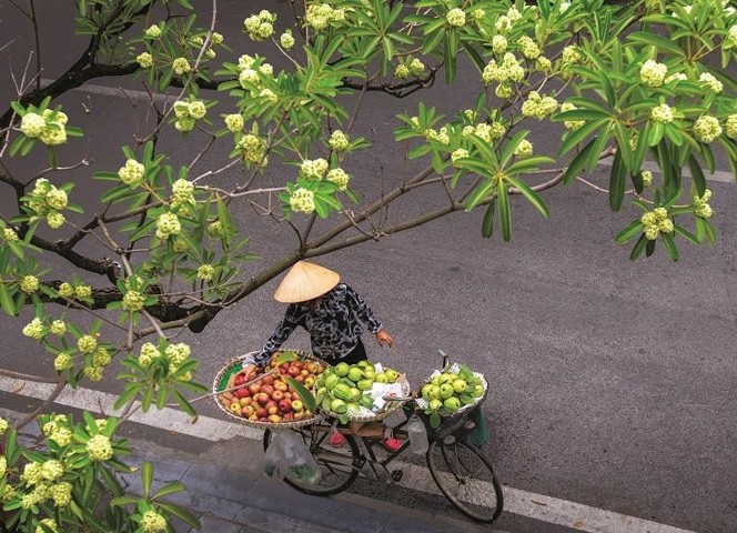 du lich ha noi mua thu