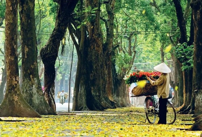 du lich ha noi mua thu