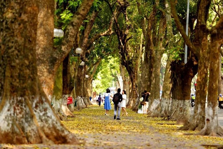 du lich ha noi mua thu