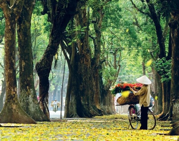 du lich ha noi mua thu