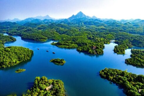 Đầm Ao Châu Phú Thọ – Điểm du lịch sinh thái hoang sơ tuyệt đẹp