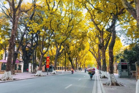 Tháng 10 nên đi du lịch ở đâu? 15+ điểm đến đẹp đáng trải nghiệm nhất