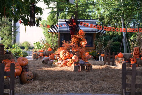 “Moonlight & Pumpkins” – Sắc màu Halloween lan tỏa tại lynntimes Thanh Thủy