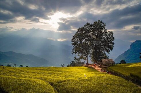 Tháng 12 nên đi du lịch ở đâu? Top 16 địa điểm đẹp nhất Việt Nam